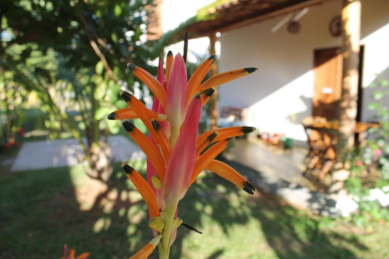 Family Guest House Velha Boipeba Εξωτερικό φωτογραφία