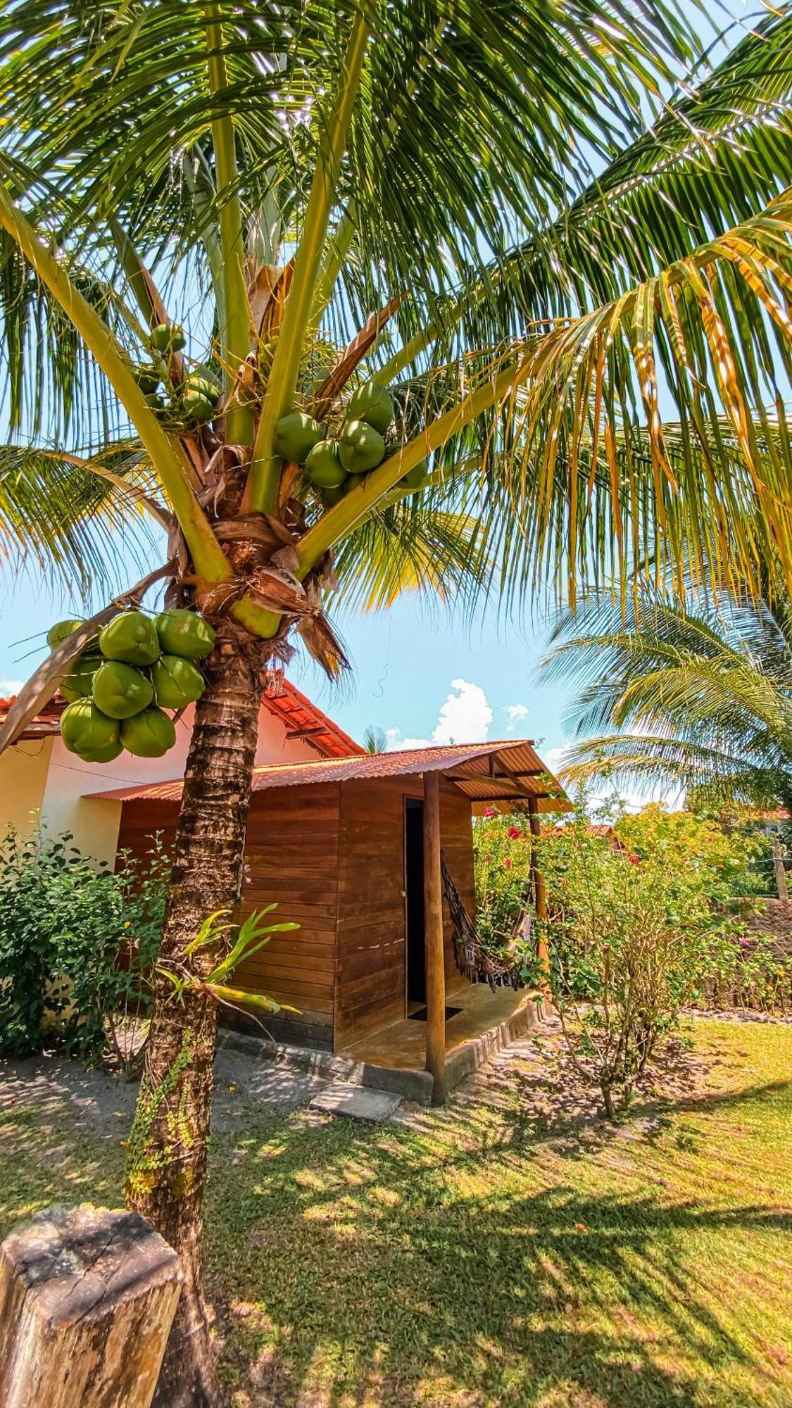 Family Guest House Velha Boipeba Εξωτερικό φωτογραφία